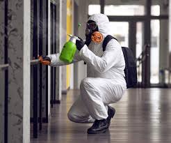  Elmwood, IL Mold Removal Services Pros