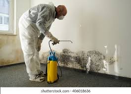 Best Forensic Mold Investigation  in Elmwood, IL